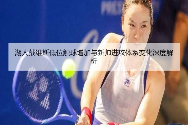 湖人戴维斯低位触球增加与新帅进攻体系变化深度解析