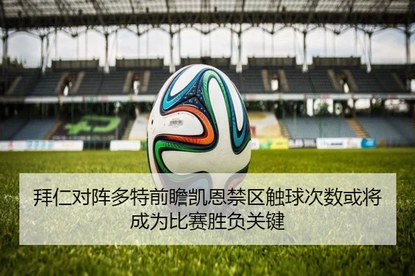 拜仁对阵多特前瞻凯恩禁区触球次数或将成为比赛胜负关键